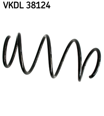 SKF VKDL 38124 Arc spiral